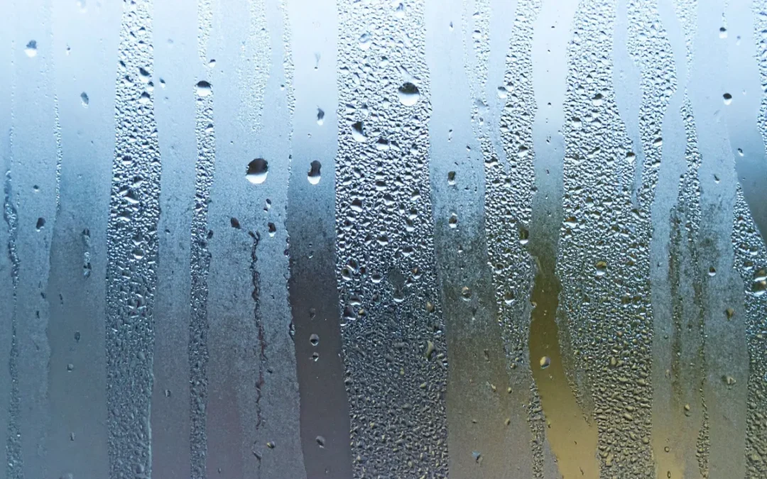 Why Windows Sweat in Southern Homes and How to Stop It