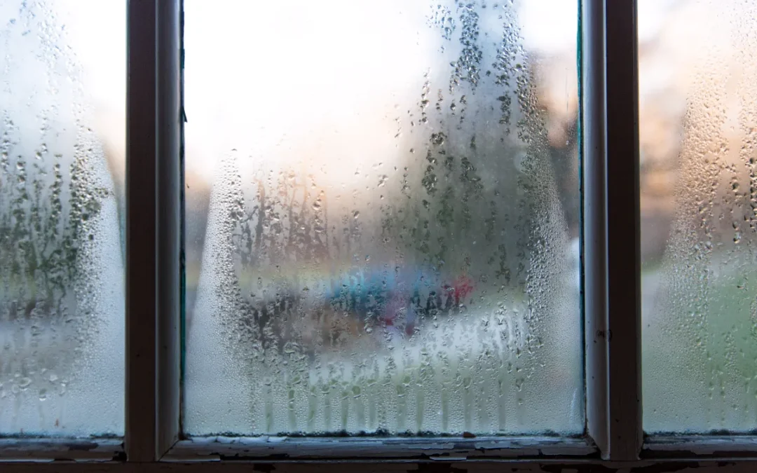 Moisture Damage to Home: The Silent Killer in the South