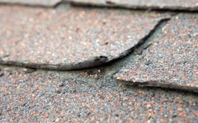 Why Your Roof Doesn’t Have to Leak to Need a Replacement