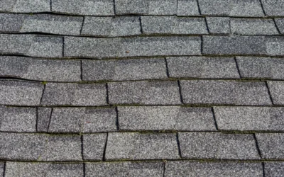 The Granule Loss Test: How to Tell if Your Roof is Bald or Just Aging